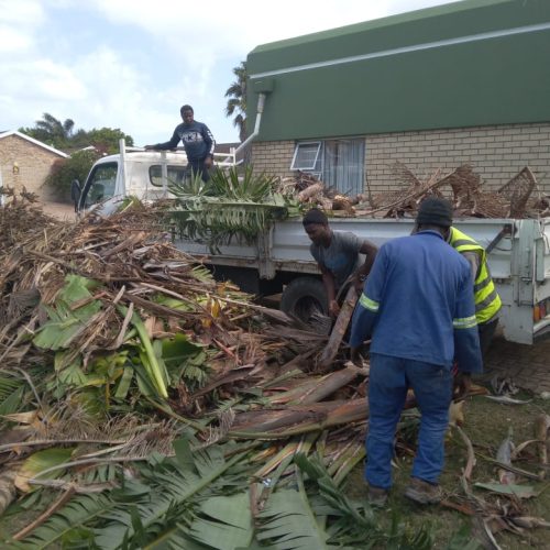 plot-and-bush-clearing-port-elizabeth.jpeg