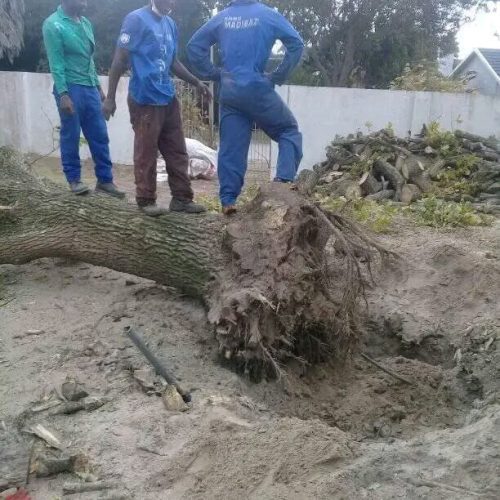 plot-and-land-clearing-port-elizabeth-2.jpeg