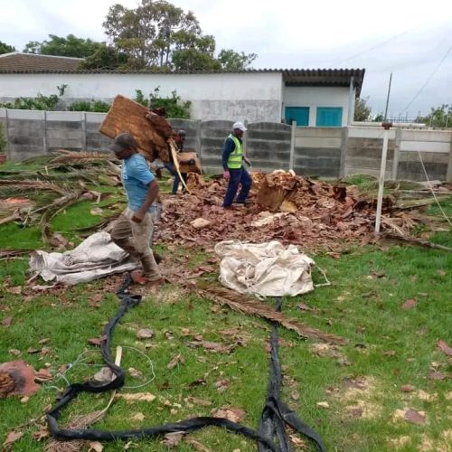 plot-and-land-clearing-port-elizabeth-3.jpeg
