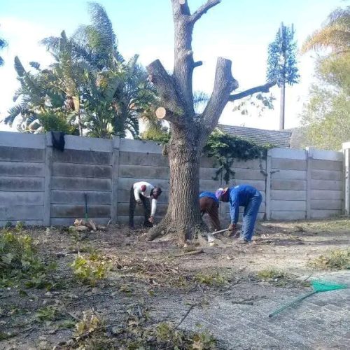 plot-and-land-clearing-port-elizabeth.jpeg