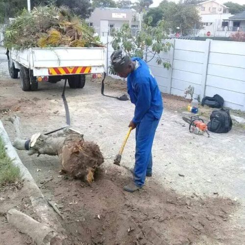site-and-land-clearing-port-elizabeth.jpeg