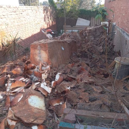stump-removal-service-port-elizabeth.jpeg